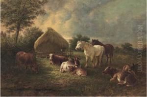 Cows And Horses Grazing In A Pasture Cows And Horses Grazing In A Pasture