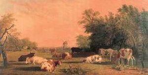 Cattle Grazing In A River Landscape At Sunset Cattle Grazing In A River Landscape At Sunset