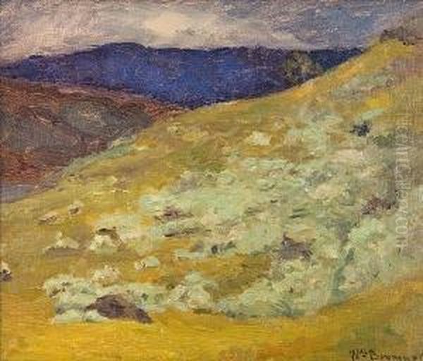 Landscape - view 1