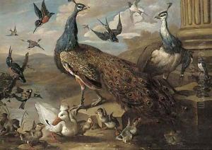 A peacock and a peahen by Jacob Bogdani