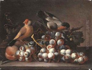 Grapes on the vine and peaches with two finches on a ledge by Jacob Bogdani