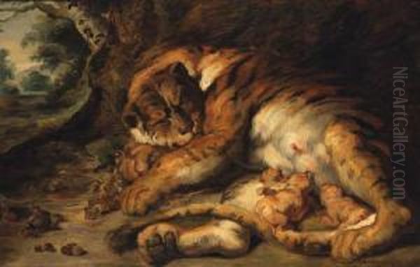 Tiger With Cubs - view 1
