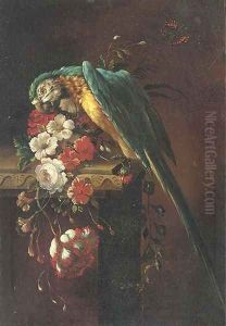 A macaw on a stone ledge, with poppies, flowers and a butterfly to the side by Jacob Bogdani