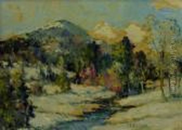 Vermont Winter - view 1