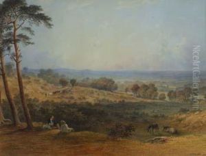 Hampstead Heath Towards Harrow