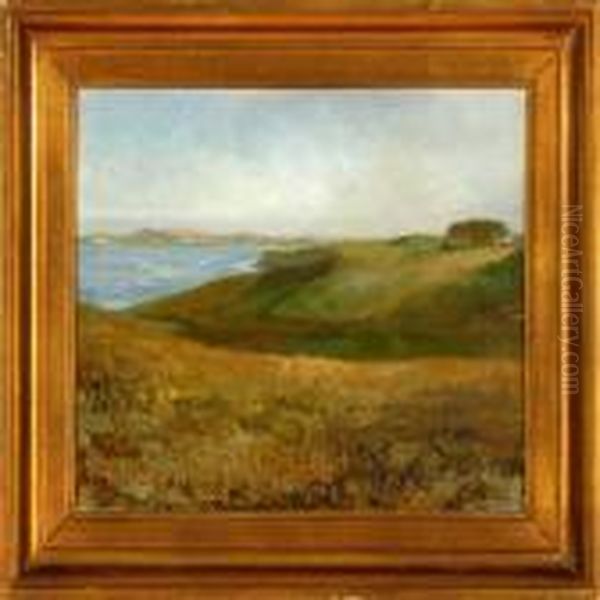 A Hilly Landscape - view 1