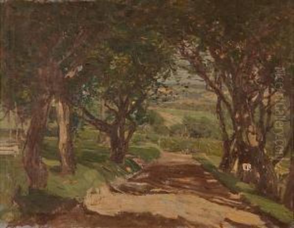 Road To The Valley - view 1