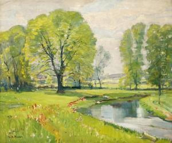 Stream In Wooded Landscape - view 1