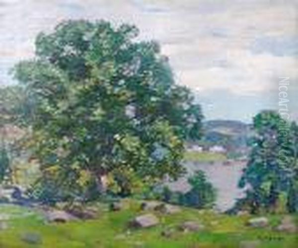 Landscape - view 1