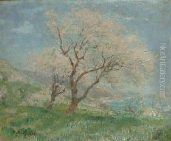Blossoming Trees Along The Coast And Early Spring: Two - view 1