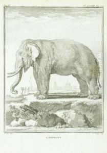 Histoire Naturelle by George Louis Leclerc Buffon