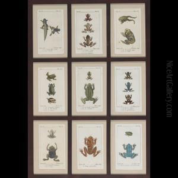 Seventeen Plates - view 1