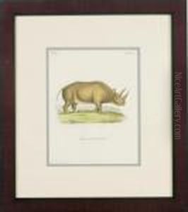 Print by George Louis Leclerc Buffon