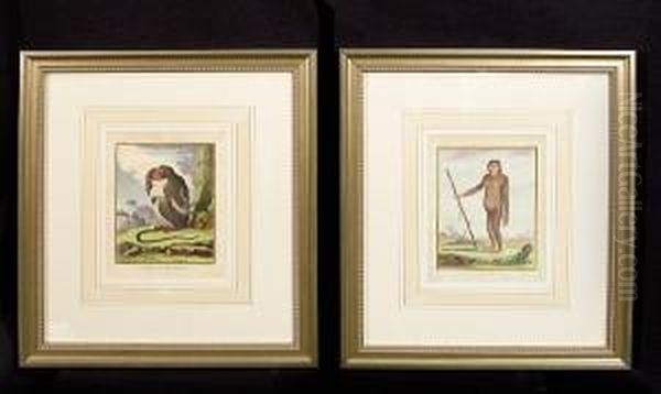 Historie Naturelle, 1789-1821 - view 1