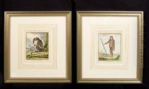 Historie Naturelle, 1789-1821 by George Louis Leclerc Buffon