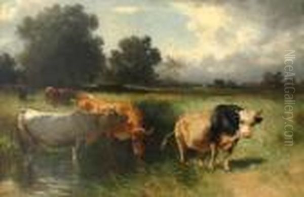 Buhlmayer Herder - view 1