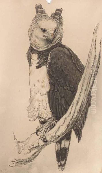 Great Horned Owl - view 1
