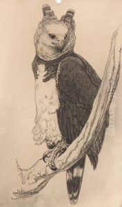 Great Horned Owl by Charles Livingston Bull