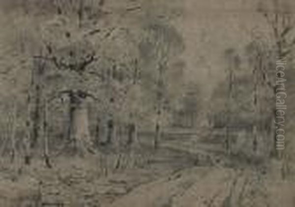 A Beech Woods With Road And Stream - view 1