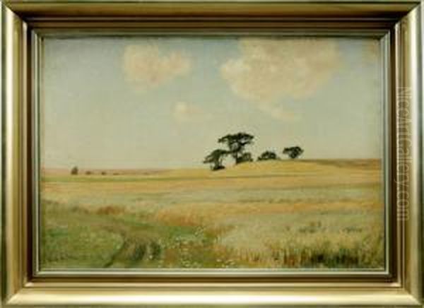 Weitemecklenburgische Landschaft Mit Kornfeld Unter Hohemsommerhimmel - view 1