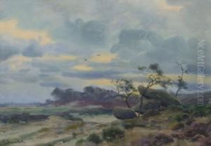 Weite Landschaft Mit Feldsteinen by Franz Bunke