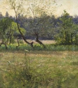 Weiden Auf Der Sommerwiese by Franz Bunke