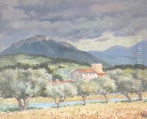 Farmhouse And Olive Trees