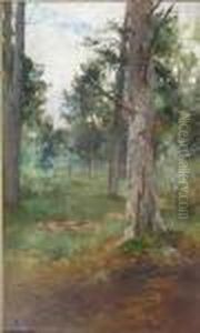 Deeside Forest by Thomas Bunting