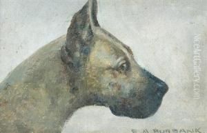 Profile Of A Great Dane by Elbridge Ayer Burbank