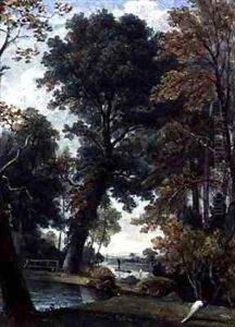 Cassiobury Park Watford by John Byrne