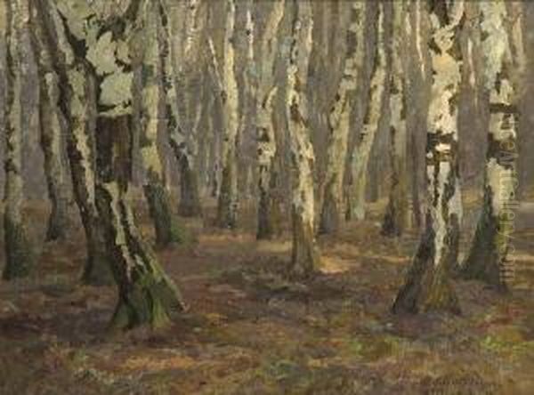 Birkenwald. - view 1