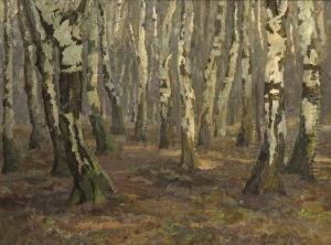 Birkenwald. by Felix Burgers