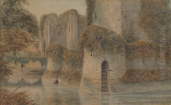 Raglan Castle - view 1