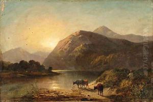 Cows by a highland lake Cows by a highland lake