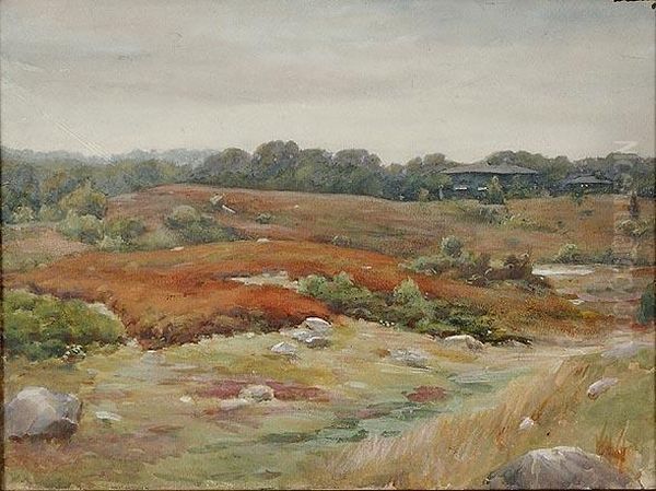 Rockylandscape With House And Trees In The Distance. - view 1