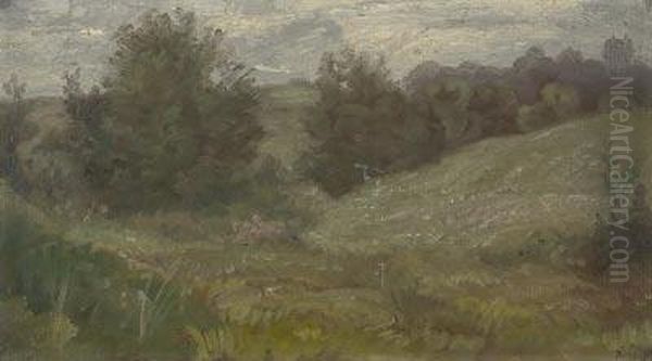 Hugelige Sommerlandschaft - view 1