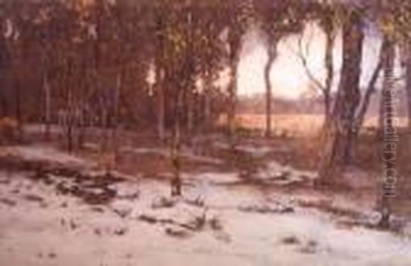 Winter Landscape - view 1