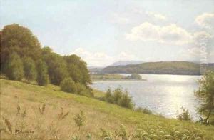A sunlit landscape by Axel Birkhammer