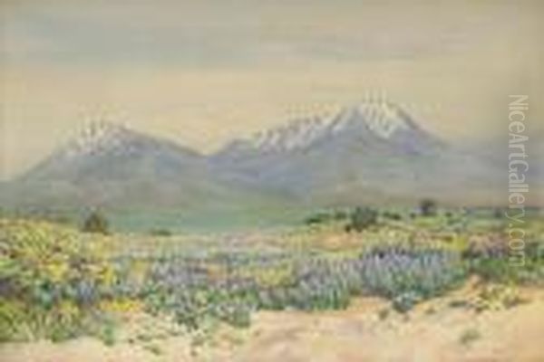 Spanish Peaks At Midday - view 1