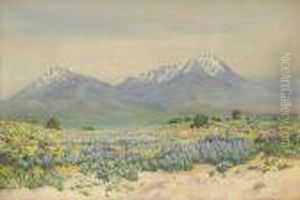 Spanish Peaks At Midday by George Elbert Burr