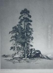 Sentinel Pines Sentinel Pines