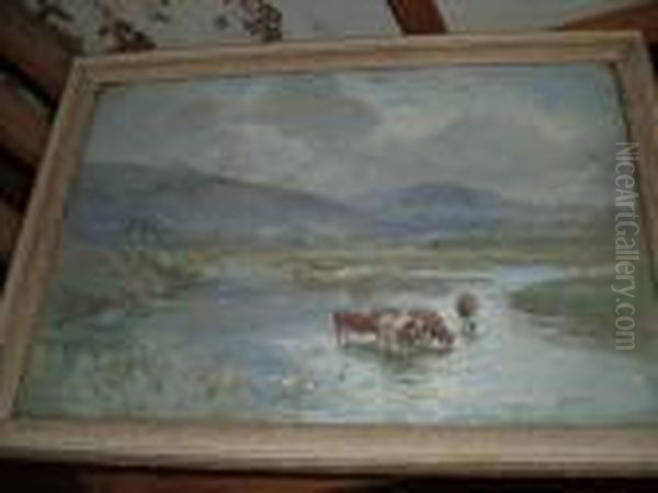 Cattlewatering - view 1