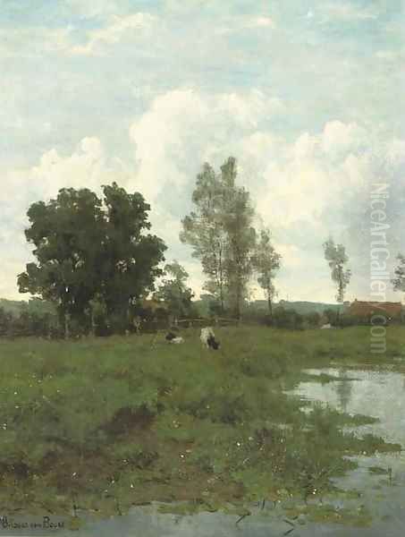 Landschap in Groningen cattle grazing by a pond - view 1