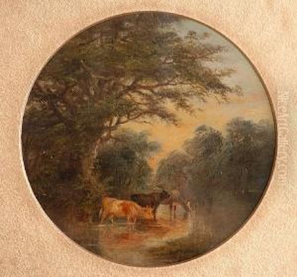 Cattle Watering At A Stream - view 1