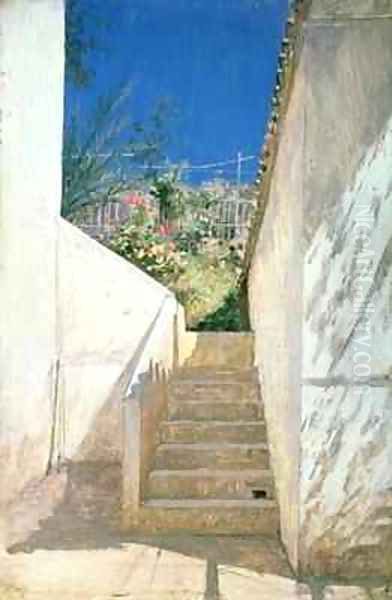 Steps in a Garden, Algeria - view 1