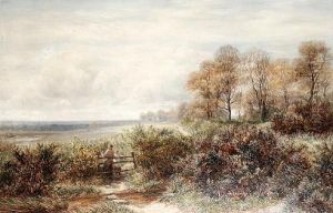 Tom Knocker's Wood, The Hilly Fields,harborne, Birmingham by Charles Thomas Burt