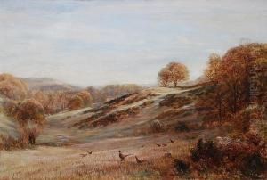 Pheasants In A Wooded Landscape 'c. T. Burt 1892' by Charles Thomas Burt