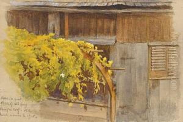 Yellow Flowers - view 1