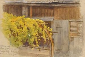 Yellow Flowers by Frederick William Burton