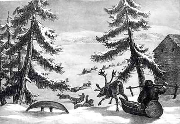 Reindeer-drawn sledges - view 1